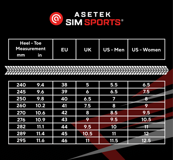 Asetek Simracing shoes